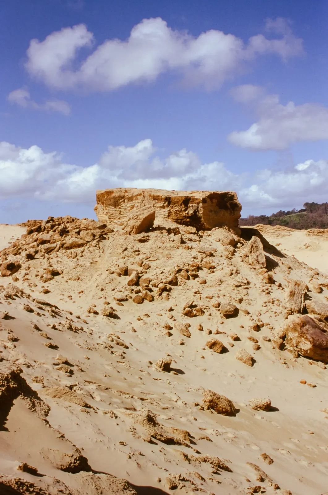Dunes, photo 3 of 8