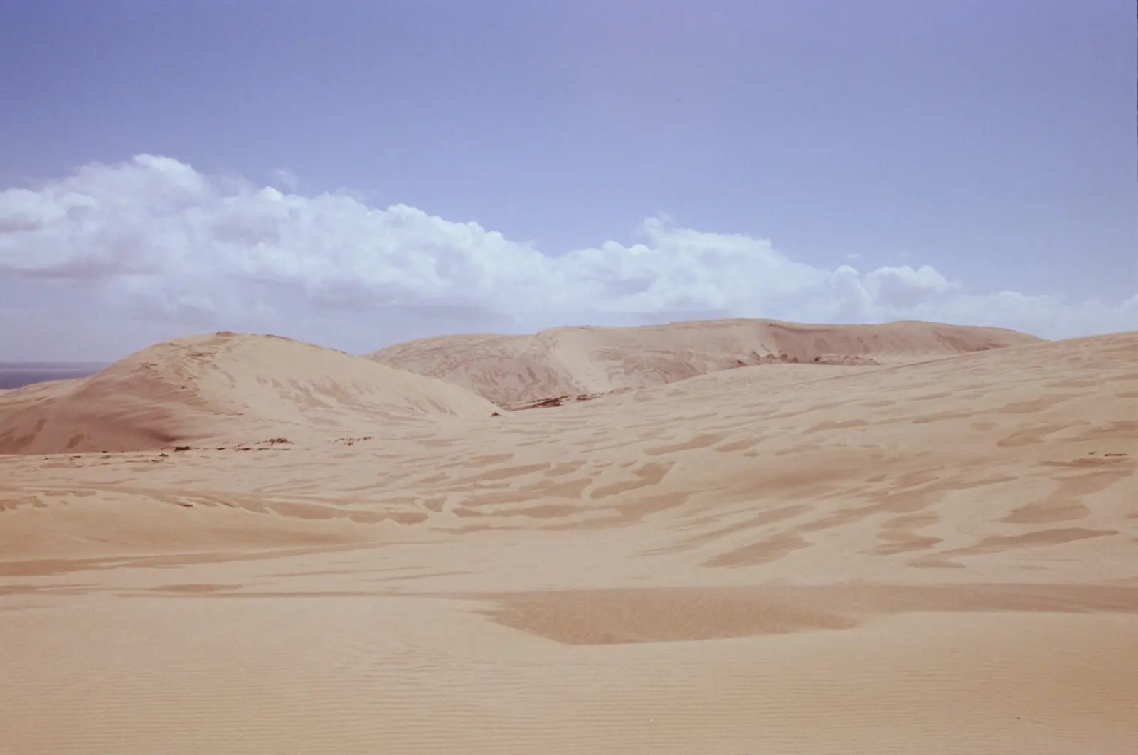 Dunes, photo 4 of 8