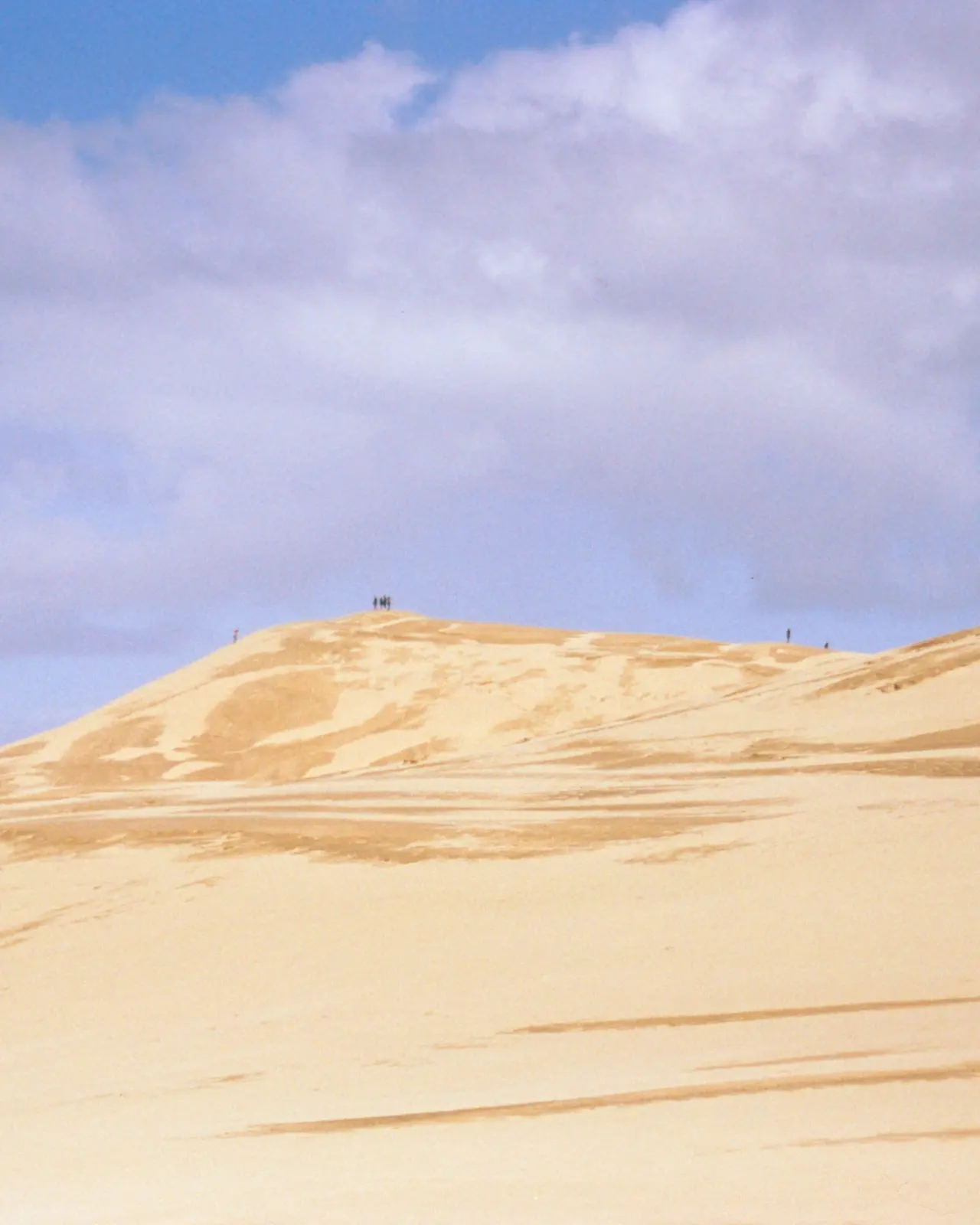 Dunes, photo 7 of 8