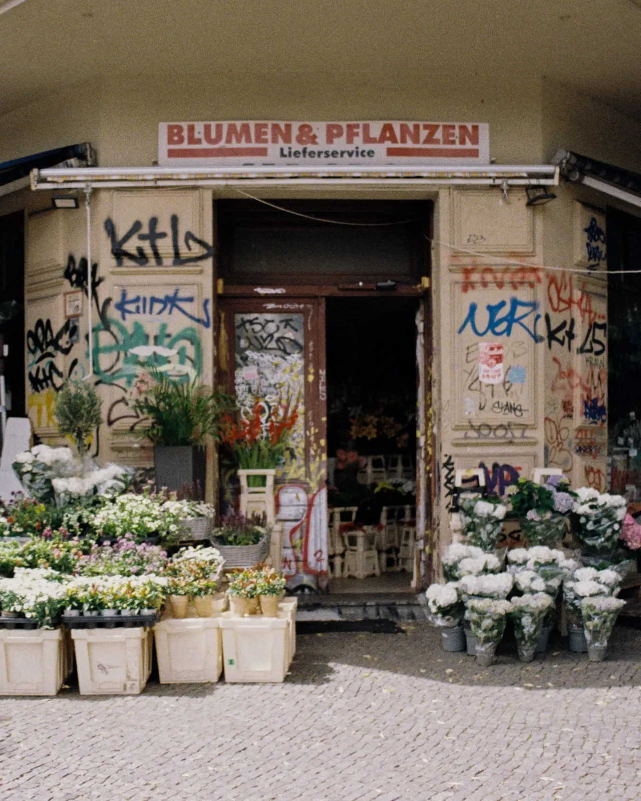Europe, photo 2 of 9