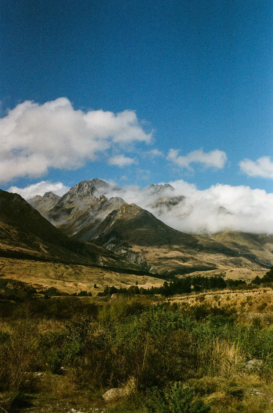 Queenstown, photo 3 of 12