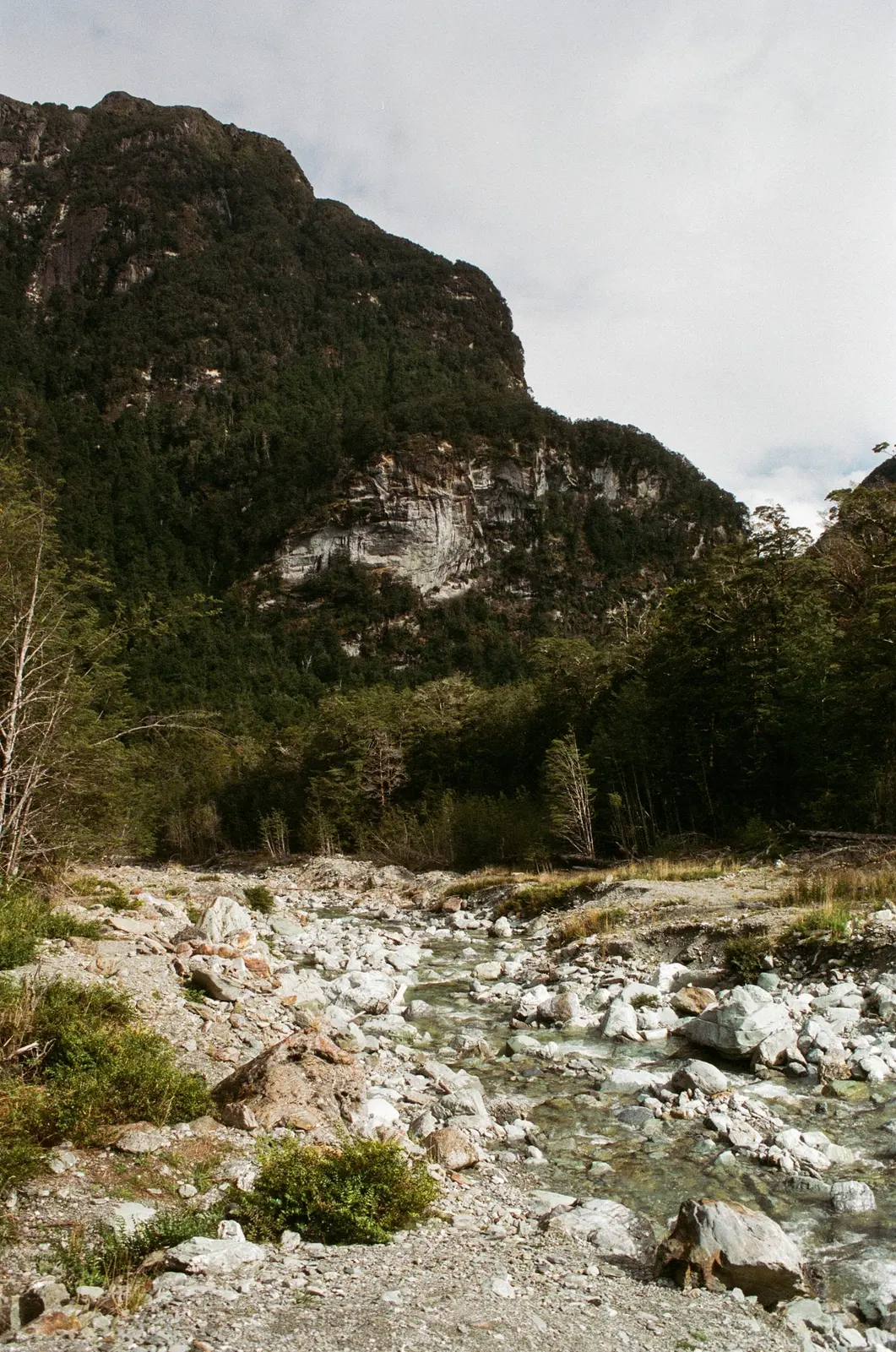 Queenstown, photo 4 of 12