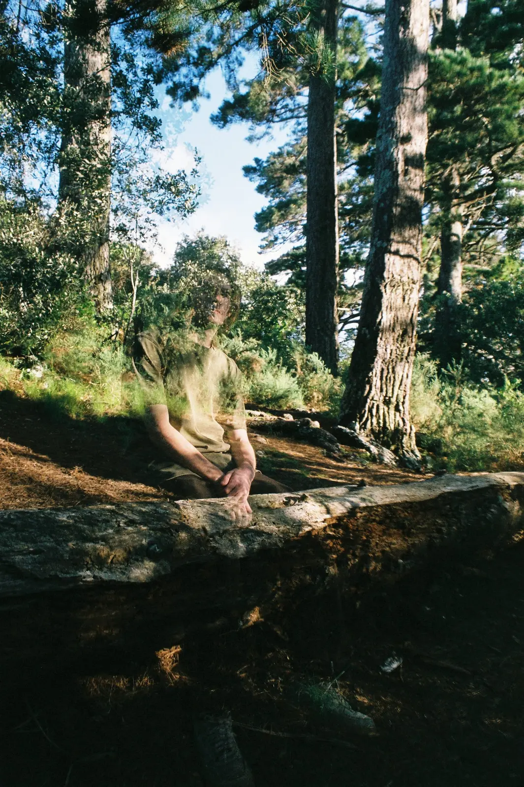 Transparent, photo 1 of 3