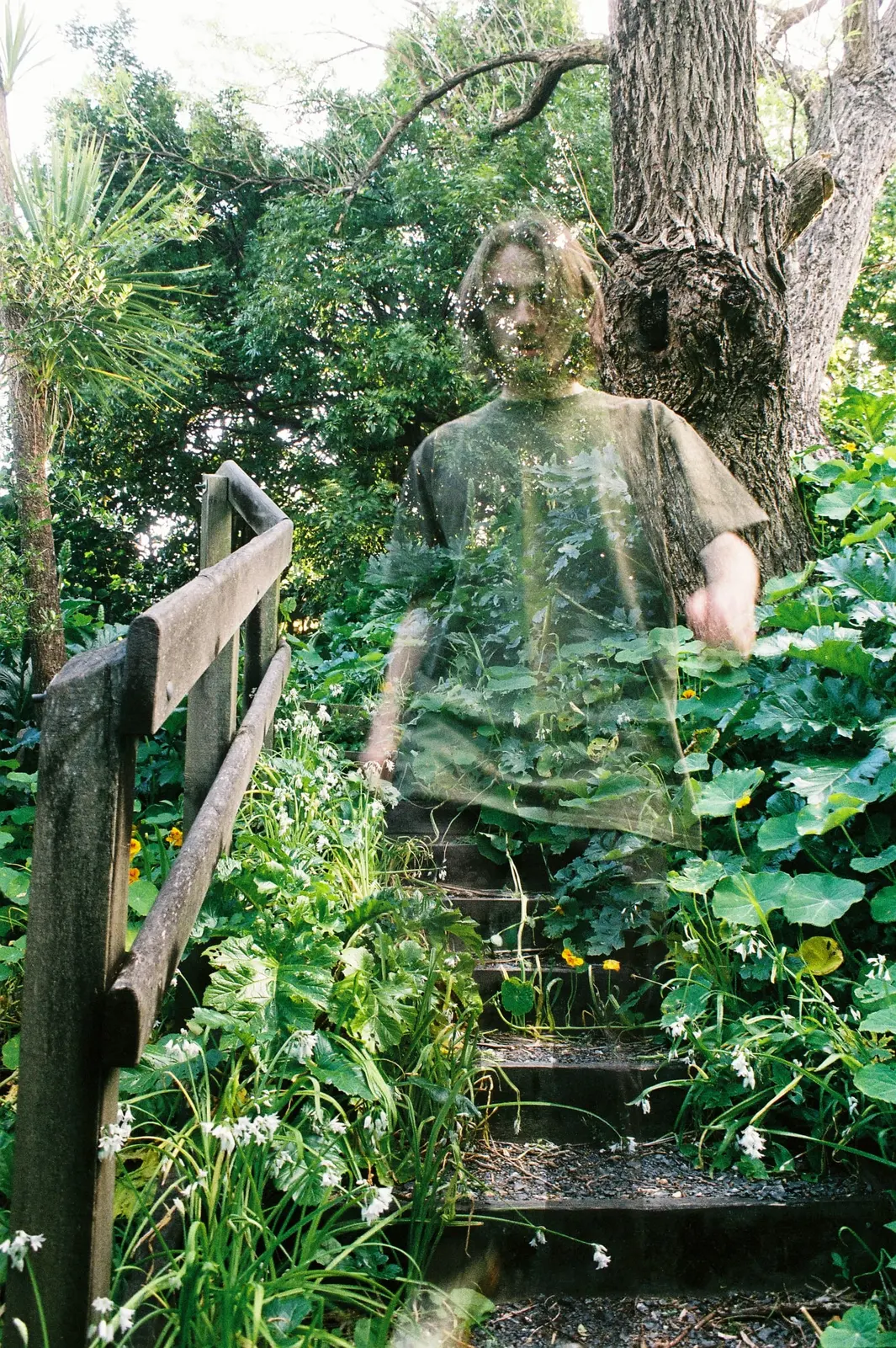 Transparent, photo 2 of 3