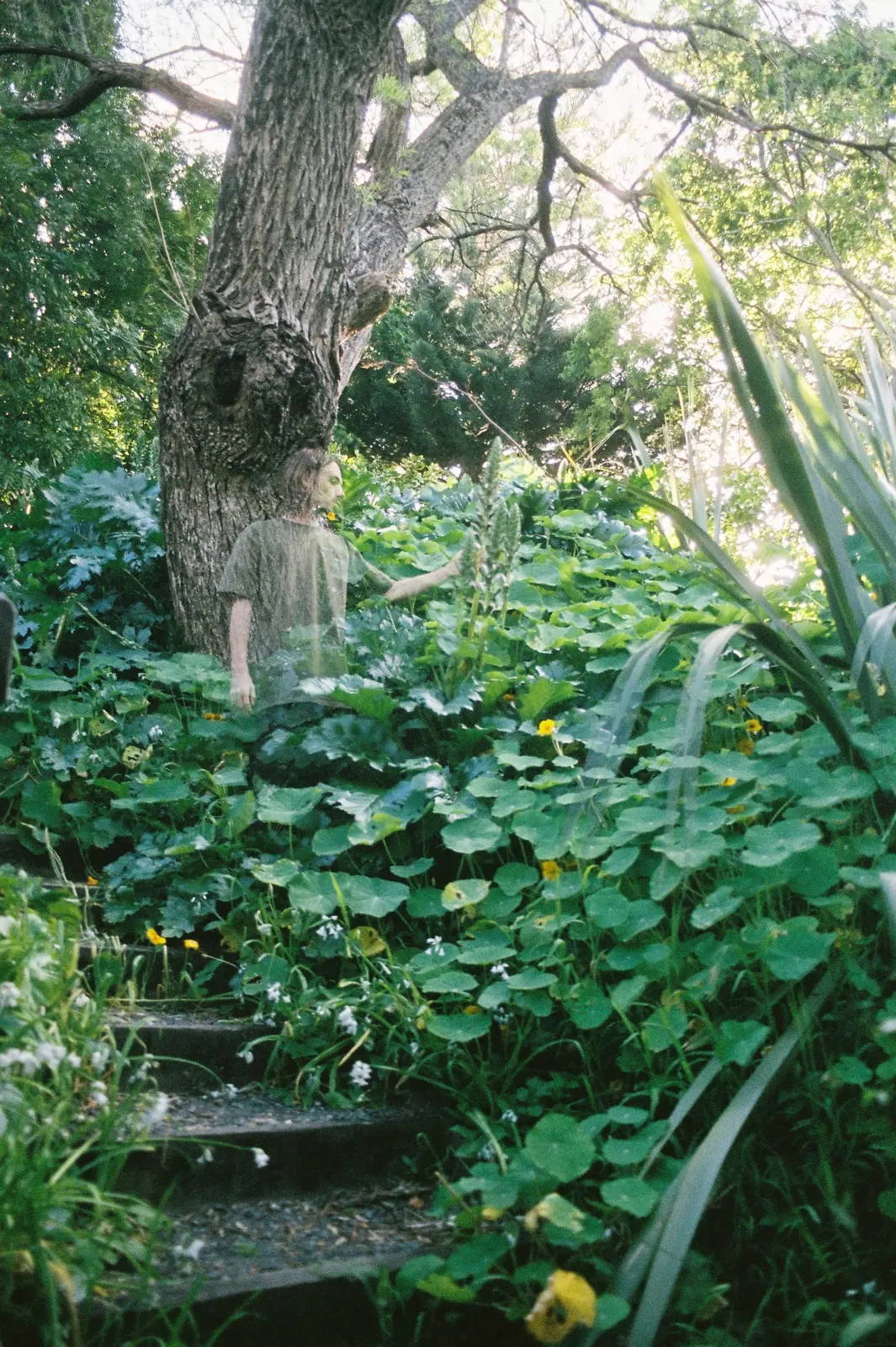 Transparent, photo 3 of 3